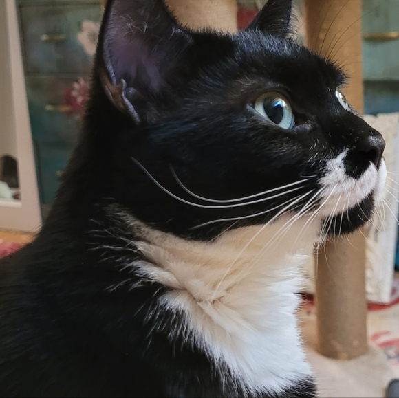 Meet your Posher, Katie - Picture 15 of 16